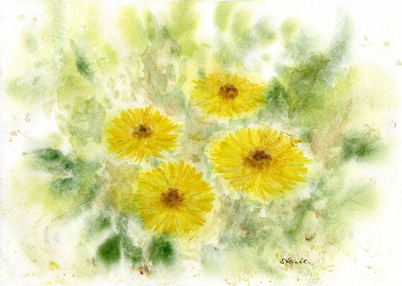 Zonnehoed van Sandra Steinke