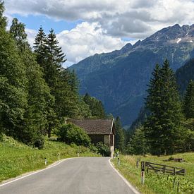 Mölltal idyllisch Österreich von Martin Van der Pluym