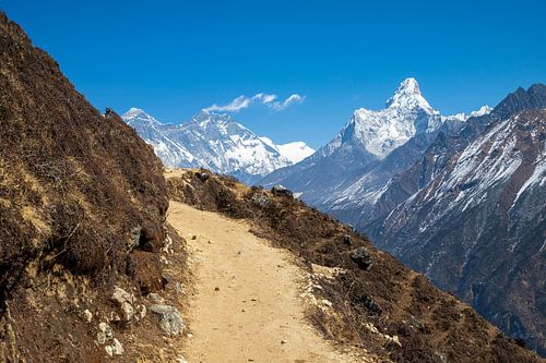 A path one way to the top