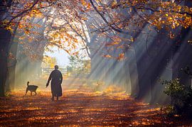 Nebliger Herbsttag von Niels  de Vries