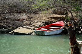 The lost one by Frank's Awesome Travels