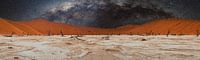 Deadvlei met melkweg in Sossusvlei, Namibië, Afrika