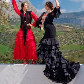Flamenco in den Bergen 3 von Peter Laarakker