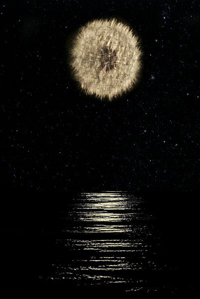 Ceci n'est pas la Lune (This is not the moon) by Corinne Welp