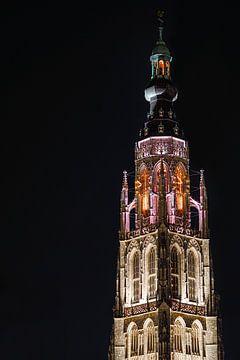 De grote kerk van Breda van Sebastiaan van der Ham