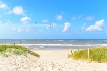 Pad door de duinen naar het strand van Sjoerd van der Wal Fotografie