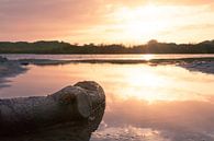 coucher de soleil dans l'oiseau du lac par Frank Kremer Aperçu