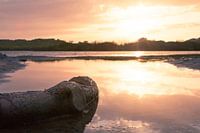 sunset in vogelmeer