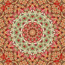 Mandala patroon 11 van Marion Tenbergen thumbnail