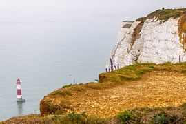 Jurassic Coast von ton vogels