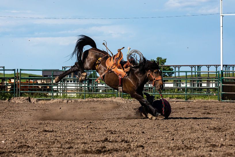 Rodeo in het Wilde Westen van Roland Brack