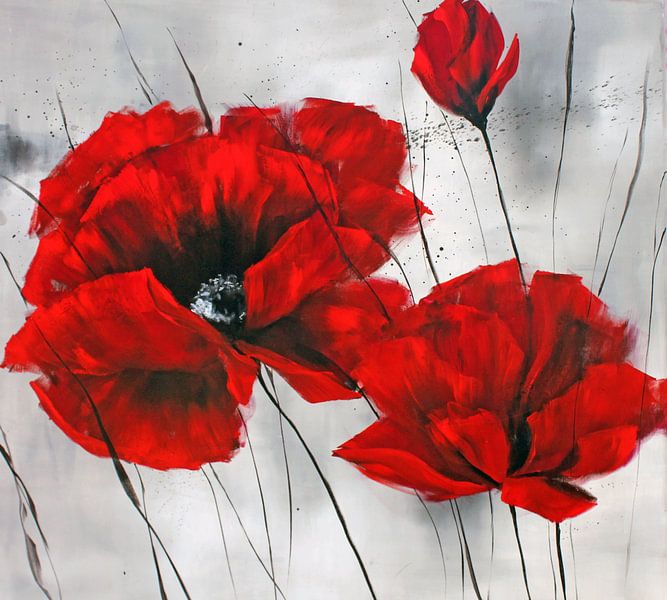 mohnblumen von M.A. Ziehr