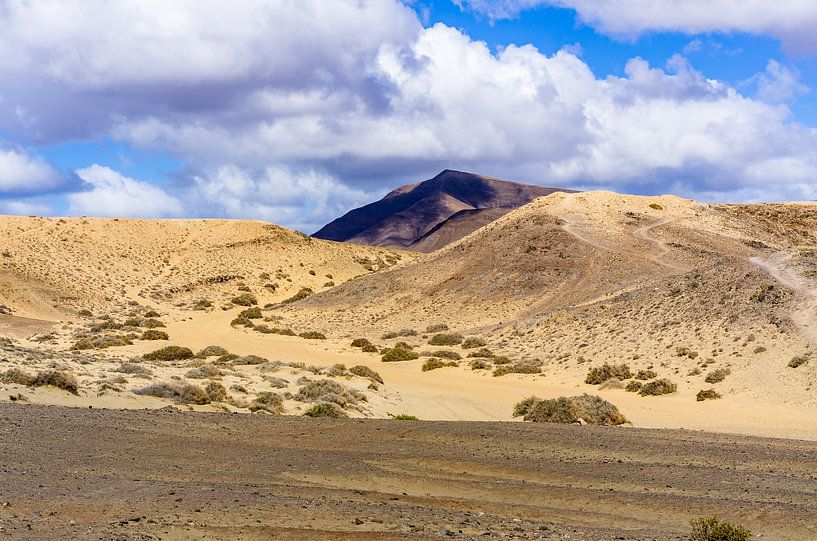 Désert sous un ciel bleu, Lanzarote par Frank Kuschmierz