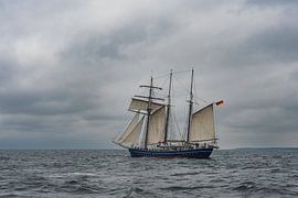 Segelschiff auf der Ostsee vor Warnemünde von Rico Ködder