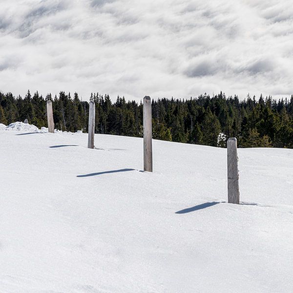 Bewolkte hemel in de winter van Zbinden Konnex
