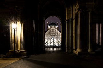 Uitzicht op het Louvre in Parijs van Damien Franscoise