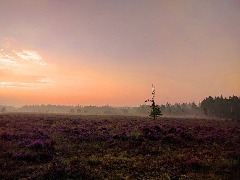 Zonsopgang by Timo van Beelen