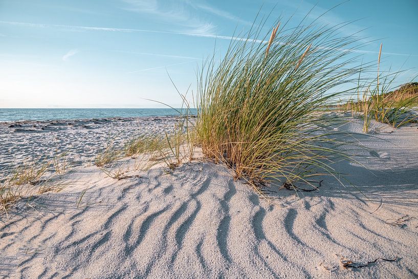 On the beach at the Baltic Sea by Steffen Gierok