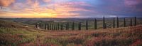 Italië Toscane Panorama Zonsondergang