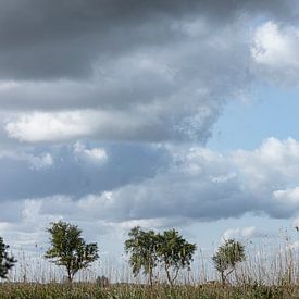 Landschap bij Fort Uitermeer van Huub de Bresser