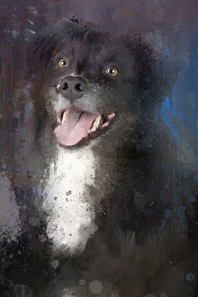 Chien noir et blanc - La collection de chiens par MadameRuiz