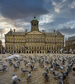 The Dam belongs to the pigeons by Peter Bartelings