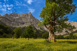 Grote Ahornboden in het natuurpark Karwendel in het Risstal, Hinterriss van Thomas Heitz