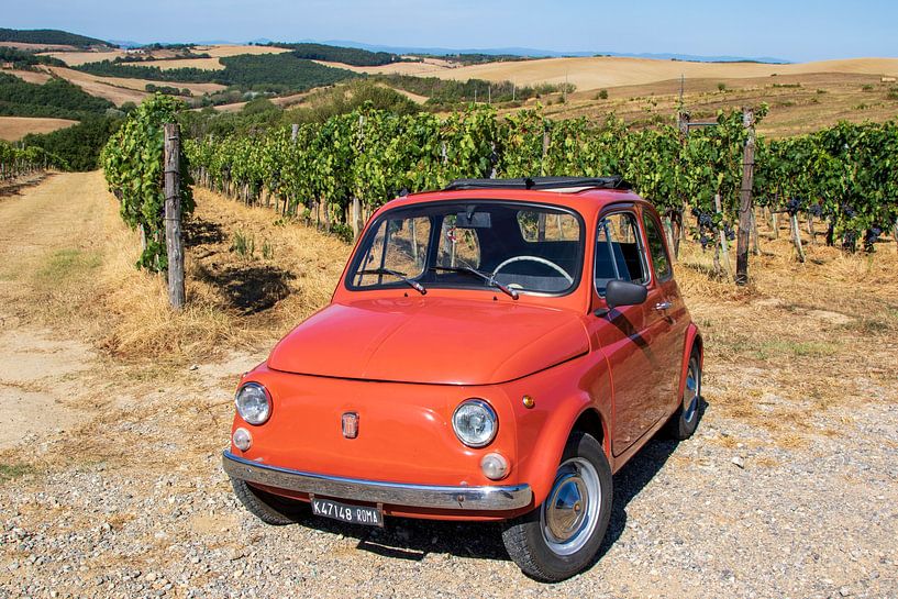 Fiat 500 dans un vignoble (1) par Jolanda van Eek en Ron de Jong