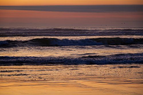 Surfen bij zonsondergang