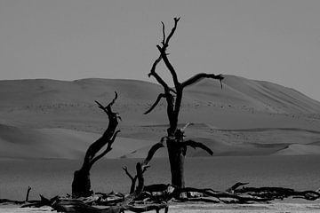 DEADVLEI 3 by Miroslav Ptacek