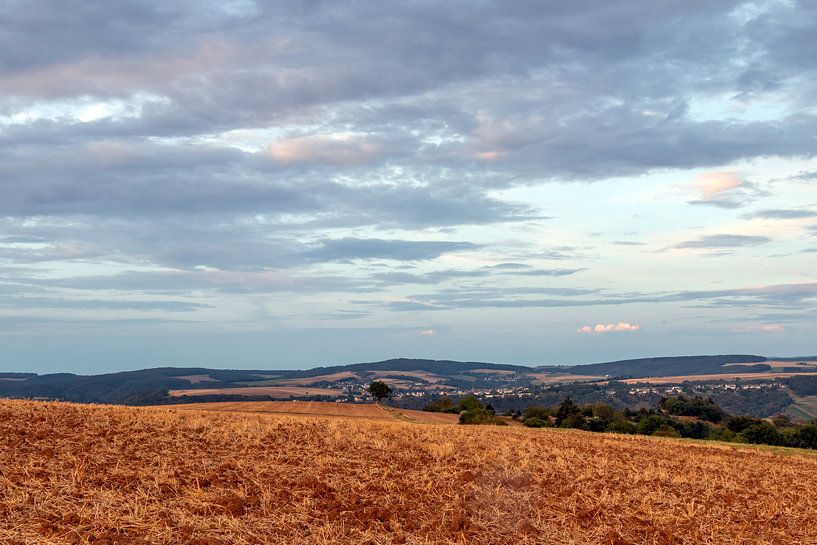 Prachtvolle Farben am Rhein von Johan Mooibroek
