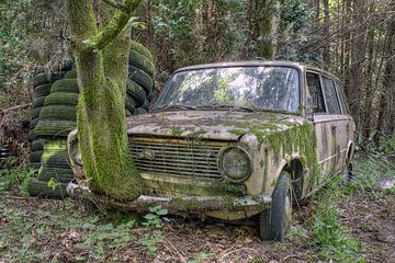 verlaten plaats - oude roestige auto van Carina Buchspies