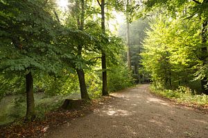 Ochtend in de vroege herfst langs de Kromme Rijn