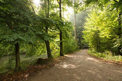 Ochtend in de vroege herfst langs de Kromme Rijn