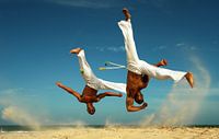 Capoeira van Terry De roode thumbnail