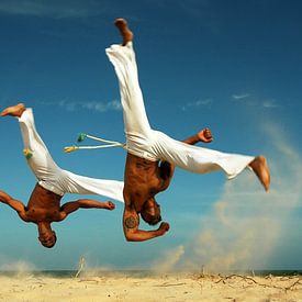 Capoeira sur Terry De roode