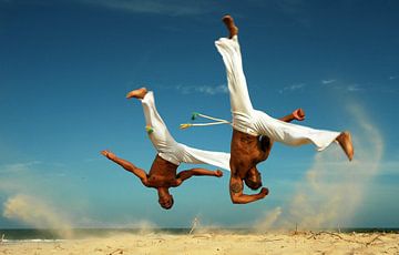 Capoeira van Terry De roode