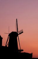 Windmill Kijck over den Dijck - Dordrecht