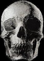 SKULL ARTWORK