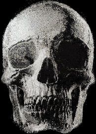 SKULL KUNSTWERK van CEZARY KASTNER