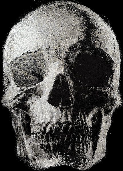 SKULL ARTWORK by CEZARY KASTNER