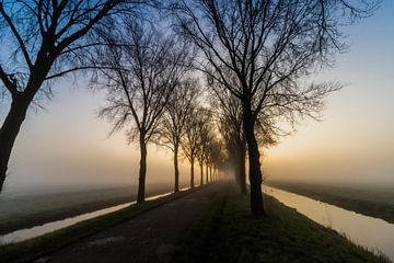 Purmer polder op een mistige ochtend van Paul Veen