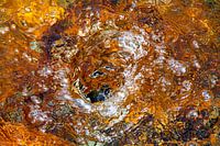 Water in colour 004