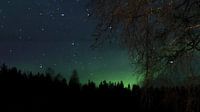 Noorderlicht
