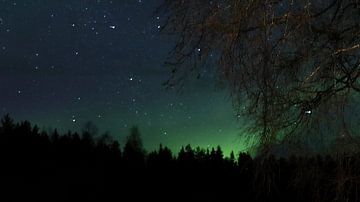 Noorderlicht sur Fields Sweden