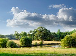 Französische Landschaft in der Abendsonne