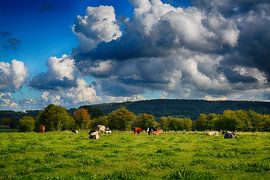 Like a painted picture by FotoGraaGHanneke