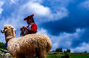 Lama und mächtige, traditionell gekleidete Frau in Cusco, Peru von John Ozguc