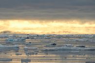 North pole ice evening light van Senne Koetsier thumbnail