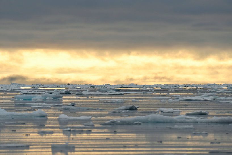 North pole ice evening light van Senne Koetsier